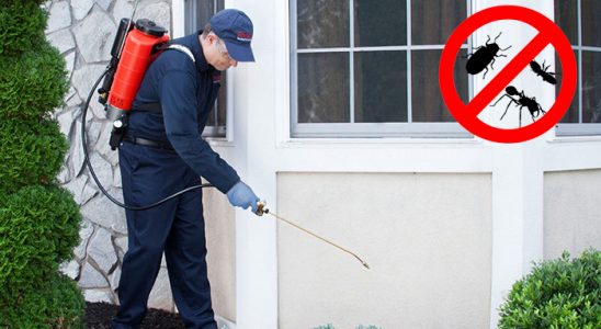 Kurucaşile Gümüşkurt İlaçlama böcek ilaçlama ve haşere kontrolü — ilaclama-tr.com
